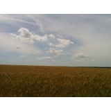 Природа - 07.jpg Природа - 07.jpg